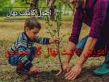 کشت نهال گل محمدی