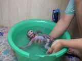 بچه میمون بامزه در حمام
