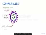 نگاهی به کلیات کرونا ویروس