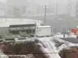 بارش شدید برف زنجان