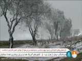 اعلام وضعیت قرمز بارش باران آذرماه در استان خوزستان