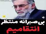 واکنش مجازی مردم به شهادت فخری زاده 5