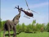 حیات وحش، حمله حیوانات بزرگ به خودروها - حمله فیل به بالگرد
