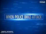 حمله سگ های گارد به سارقین توسط پلیس امریکا