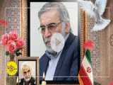 شهید فخری زاده را بیشتر بشناسید