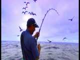 مستند ماهیگیری با رابسون گرین - قسمت سوم (پاپوآ گینه نو)