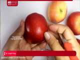 آموزش سفره آرایی|میوه و سبزی آرایی|میوه آرایی شب یلدا (تزئین سیب با روش ساده)