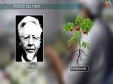 History of plant tissue culture 