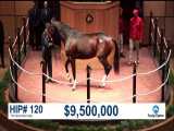 فروش نوامبر (2017): اسب SONGBIRD به قیمت 9.5 میلیون دلار فروخته می شود