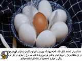 تفاوت ‌های تخم مرغ سفید با تخم مرغ قهوه‌ای ( بومی )