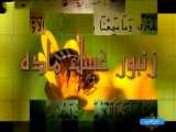 4.مواهب (اعجاز قرآن)- زنبور عسل ماده