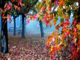 آهنگ بسیار زیبای برگ پاییز از ریچارد کلایدرمن با تصاویر فوق العاده پاییزی