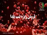 تخفیف ویژه استند های آجیل و خشکبار شارپ ایران به مناسبت شب یلدا