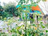 خانه باغ ۳۸۰ متدی با سند و پروانه واقع در محمودآباد