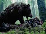 حمله خوفناک خرس سیاه به یک شکارچی