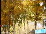 معرفی ترانه هایی از افخم، بانی، هیراد و....در نیوار کاست امروز - شیراز