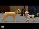 انیمیشن والنتینو و قبیله سگ ها