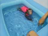 حمام کردن میمون شیطون و بازیگوش