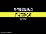 F14 TOM CAT DSCWORLD