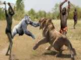 شکارچیان حیوانات وحشی !!!