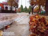 فیلم بسیار زیبا از باران پاییزی در پارک آزادی شیراز