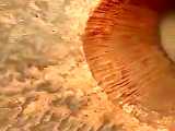 یک دهانه ناشی از برخورد شهاب یا سیارک، به عرض تقریبی ۱.۵ کیلومتر، در سطح مریخ، ت