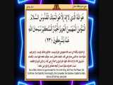 فرازی زیبا از آیات 22 الی 24 سوره مبارکه حشر توسط استاد منشاوی - Quran 