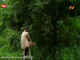 فیلم سینمایی  جنگل کوچک تابستانی پاییزی