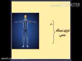 علوم پنجم - حرکت بدن - 6 - زیبا آذرپور دبستان اختردانش یزد
