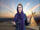 معروف ترین کویرهای ایران