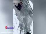نجات یک سگ از وسط دریاچه یخ زده