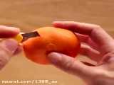 کاردستی حیوان با پوست نارنگی