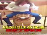 عروسک گردانی در چین !!! عروسکهای پوشیدنی !!