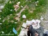 رها گردن زباله ها در حاشیه جاده اصلی چرام-دهدشت