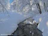 سه ساعت صدای آرامش بخش رودخانه در برف | (نظاره‌گر ساکت 49)