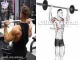 - How To Build Your Shoulder - YouTube