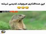 ویدیو طنز برای علی ها