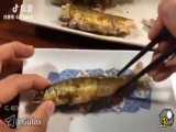 روش صحیح خوردن ماهی