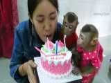 جشن تولد و کیک خوردن میمونهای بامزه و شیطون