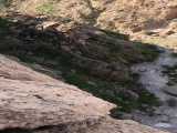 گیسکان زیبا 1399/10/18