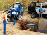 ماشین بازی کودکانه بیبو بیبو : حمله دایناسور و اعزام نیروی پلیس