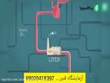 نحوه عملکرد کار کبد...