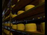 انبار پنیر طبیعی کالین