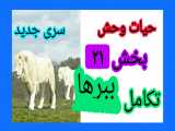 مستند حیات وحش قسمت۲۱