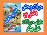 حیات وحش_دنیای حیوانات غولپیکر_قسمت۲۳