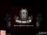 پرورش سگ در کرج  guard_dogs_club          فروش قفقازی نر و ماده