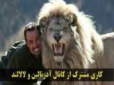 حیات وحش  