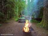 سه ساعت ویدیو آرامش بخش سوختن هیزم در جنگل | (ریلکسیشن در طبیعت 50)