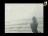 فیلم جالب شکار کوسه با قلاب ماهیگیری(منبع در ویدئو)