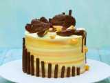 آموزش تزیین کیکهای فوق العاده برای جشنهای تولد _ کیک آرایی